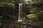 Russell Falls In Mount Field National Park Stock Photo