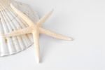 Starfish And Oyster Stock Photo