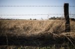 Rusted Sharp Timber And Metal Barb Wire Fence Stock Photo