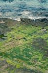 Tessellated Pavement In Pirates Bay Stock Photo