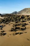 Beautiful Beach In Sagres Stock Photo