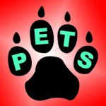 Pets Paw Means Domestic Animal And Breed Stock Photo