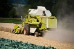 Combine Harvesting Corn Stock Photo