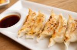 Gyoza Stock Photo