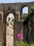 Ronda, Andalucia/spain - May 8 : View Of The New Bridge In Ronda Stock Photo