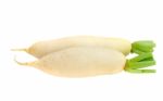 White Radish Stock Photo