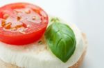 Mozzarella Appetizer Stock Photo