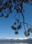 Landscape Of Lake Tahoe Stock Photo