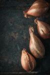 Shallots  On The  Old Metal Background  Vertical Stock Photo