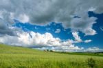 Farmland In Val D'orcia Tuscany Stock Photo