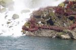 Beautiful Close Photo Of The Amazing Niagara Waterfall Us Side Stock Photo