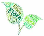 Flora Word Means Plant Life And Areas Stock Photo