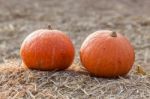 Orange Pumpkins On Straw Stock Photo