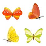 Colorful Butterflies Stock Photo