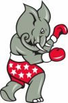 Elephant Boxer Boxing Stance Stock Photo