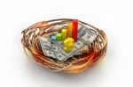 Graph And Money In Nest Stock Photo