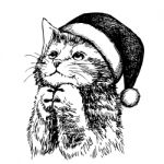 Kitten Cat With Christmas Hat Stock Photo