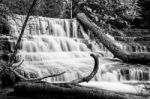 Liffey Falls In The Midlands Region, Tasmania Stock Photo