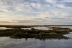 Natural Ria Formosa Marshlands Stock Photo