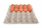 Eggs In Paper Tray Stock Photo