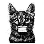 Illustration Of Cat With Mask Hand Drawn Stock Photo