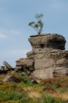 Scenic View Of Brimham Rocks In Yorkshire Dales National Park Stock Photo