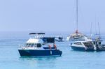 Tourist Speed Boat Floating In Harbor Port Phuket Island Southern Of Thailand Use For Water Transport And Traveling Theme Stock Photo