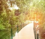 Bridge For Walking Into The Pond Stock Photo