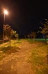 Night Public Park In The City With Houses Near Stock Photo