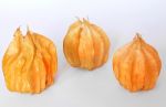 Cape Gooseberry Stock Photo