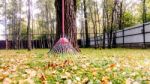 Fall Leaves And Yard Work Stock Photo