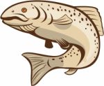 Rainbow Trout Jumping Cartoon Stock Photo