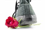 Shoe And Roses Stock Photo