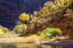 Photographers Walking Alongside The Virgin River Stock Photo