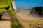 Combine Harvesting Corn Stock Photo