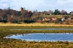 Pulborough Brooks Stock Photo