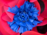 Special Poppy To Commemorate The Centenary Of The Battle Of The Stock Photo