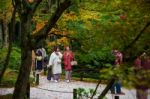 Women With Kimono Dress In Enkoji Tempe Garden Stock Photo