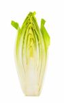 Half Of Chicory Isolated Stock Photo