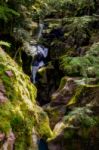 Avalanche Creek Stock Photo