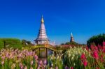 Landmark Pagoda In Doi Inthanon National Park At Chiang Mai, Thailand Stock Photo