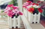 Artificial Flowers Pot Stock Photo