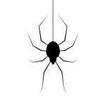 Halloween Spider Hanging Web Background Stock Photo