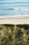 View Of Bruny Island Beach In The Afternoon Stock Photo