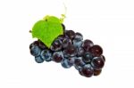 Grapes Isolated On White Background Stock Photo