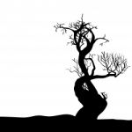 Hand Drawing Halloween Tree- Illustration Stock Photo