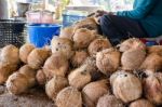 Farmer Cutting Coconut Shell Stock Photo