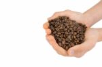 Two Hands Holding Coffee Beans Stock Photo