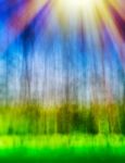 Vertical Bokeh Blurred Abstract Landscape With Light Leak Backgr Stock Photo