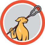 Dog Lacrosse Player Crosse Stick Cartoon Circle Stock Photo